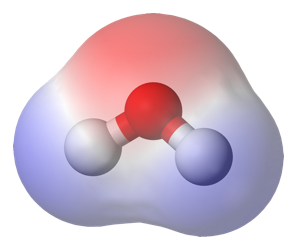 Water Molecule Showing Postivie and Negative Areas
